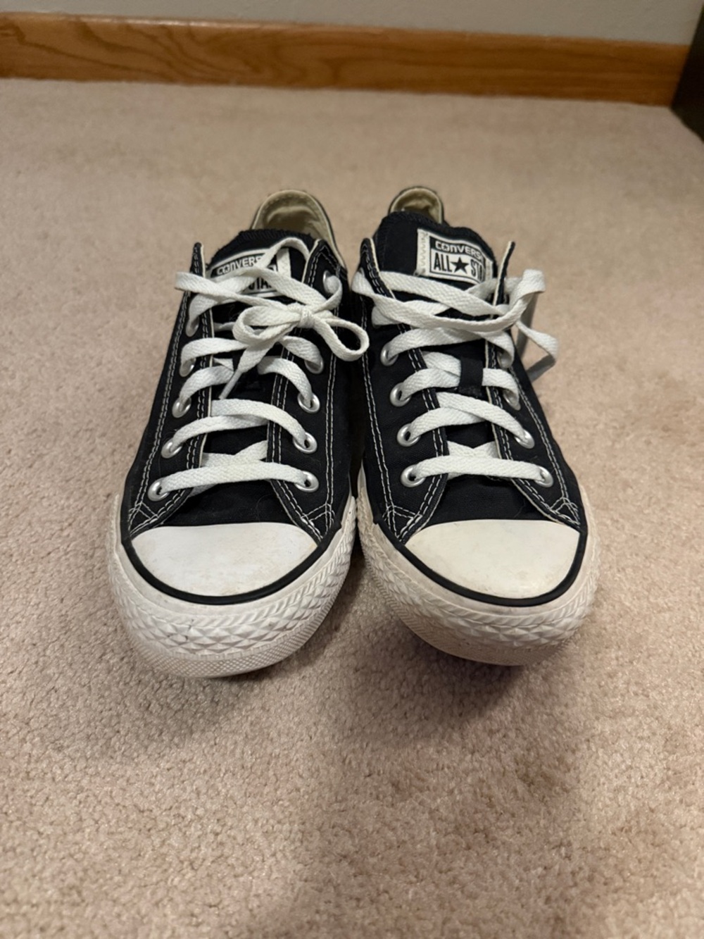 Converse Unisex Chuck Taylor All Star Low Top Canvas Sneakers